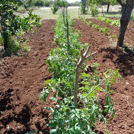 Agroturismo Na Set Centes 3*