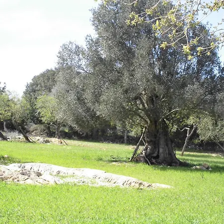 Agroturismo Na Set Centes Arta